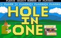 Hole in one